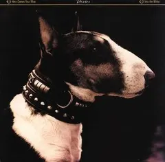 Pixies – Here Comes Your Man (Vinyl, 12")