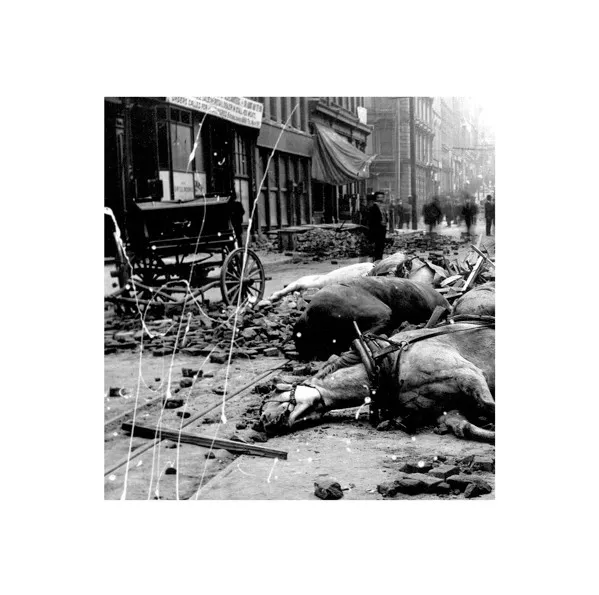 Planning For Burial / Lonesummer – Split