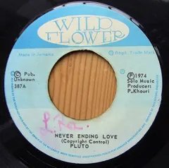 Pluto* – Never Ending Love / Letter From Miami (Vinyl, 7")