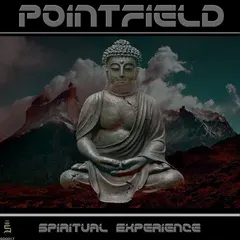Pointfield – Spiritual Experience (File, WAV)
