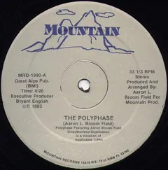 Polyphase (3) Featuring Aaron Broom Field* – The Polyphase (Vinyl, 12")