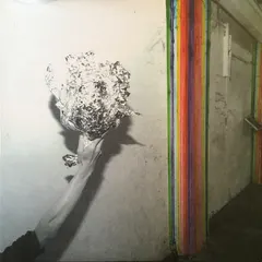Pond (5) – Hobo Rocket (Vinyl, LP)