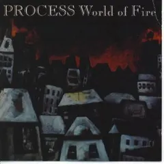 Process (7) – World Of Fire (Vinyl, LP)