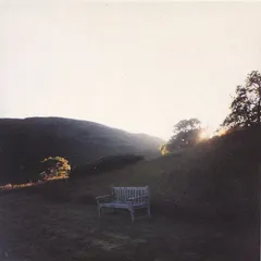 Pub – Do You Ever Regret Pantomime? (Vinyl, LP)