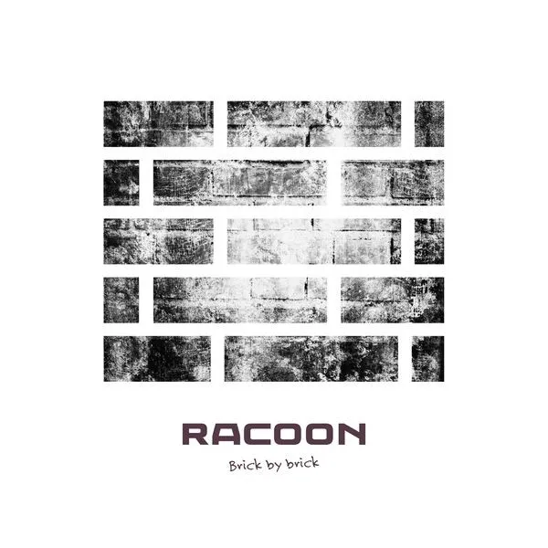 Racoon (4) – Brick By Brick
