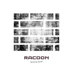 Racoon (4) – Brick By Brick (CDr, Single)