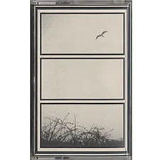 Reuben Son – Sensual Square (Cassette, Album)
