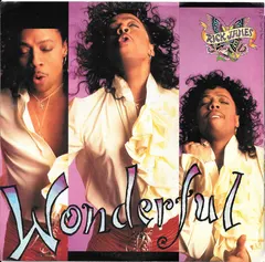 Rick James – Wonderful (Vinyl, 7")