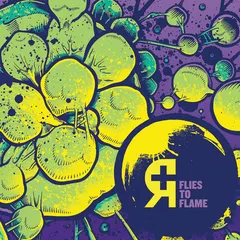 Rosetta (2) – Flies To Flame (Vinyl, 12")