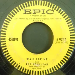Roy Hamilton (5) – Wait For Me / Everything (Vinyl, 7")