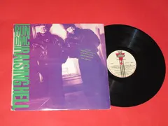RUN DMC* – Raising Hell (Vinyl, LP)