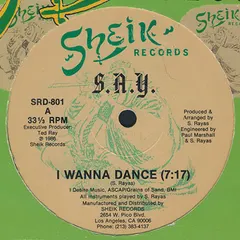 S.A.Y. (2) – I Wanna Dance (Vinyl, 12")