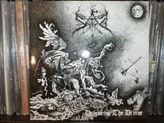 Sad (14) – Devouring The Divine (Vinyl, LP)