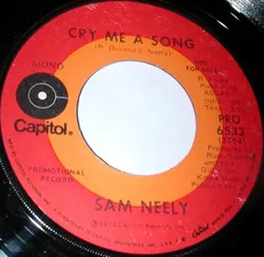 Sam Neely – Cry Me A Song (Vinyl, 7")