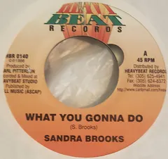 Sandra Brooks – What You Gonna Do/Version (Vinyl, 7")
