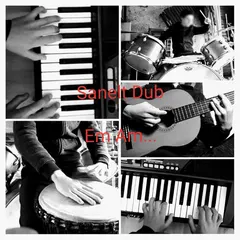 Sanelt Dub – Em Am... (CD, Single)
