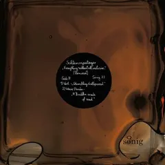 Schlammpeitziger – Everything Without All Inclusive (Remixed) (Vinyl, 12")