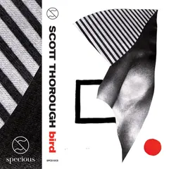 Scott Thorough – Bird (Cassette, Album)