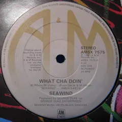 Seawind – What Cha Doin' (Vinyl, 12")