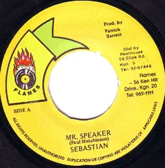 Sebastian (34) – Mr. Speaker (Vinyl, 7")