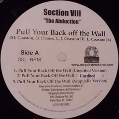 Section VIII – Pull Your Back Off The Wall (Vinyl, 12")