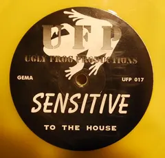 Sensitive – To The House (Vinyl, 12")
