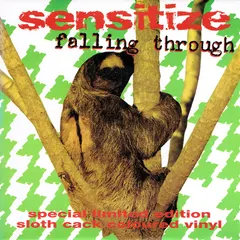 Sensitize (2) – Falling Through (Vinyl, 7")