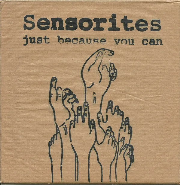 Sensorites – Just Because You Can