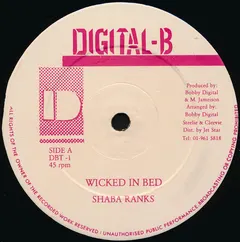 Shaba Ranks* – Wicked In Bed (Vinyl, 12")