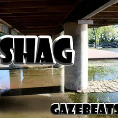 Shag (8) – Volume 2: GazeBeats (File, MP3)