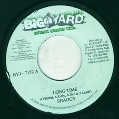 Shaggy – Long Time (Vinyl, 7")