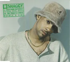 Shaggy – Something Different / The Train Is Coming (CD, Single)