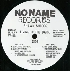 Shawn Shegog – Living In The Dark Side (Vinyl, 12")