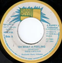 Sheila Hylton – Oh What A Feeling (Vinyl, 7")