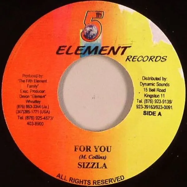 Sizzla – For You