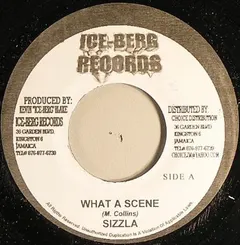 Sizzla – What A Scene (Vinyl, 7")