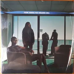 Skunk Anansie – Post Orgasmic Chill (Vinyl, LP)