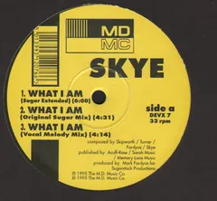 Skye (5) – What I Am (Vinyl, 12")