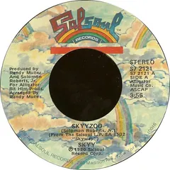 Skyy – Skyyzoo / Don't Stop (Vinyl, 7")
