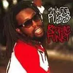 Snagga Puss – Reggae Funky (Vinyl, LP)