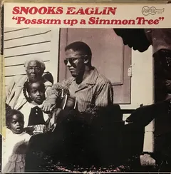 Snooks Eaglin – Possum Up A Simmon Tree (Vinyl, LP)