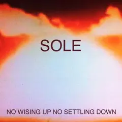 Sole – No Wising Up No Settling Down (CD, Album)