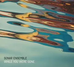 Sonar Ensemble – While You Were Gone (CD, Album)