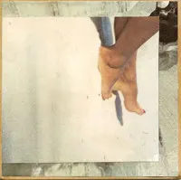 Splendid Friends – Summer Moon Illusion (CDr)