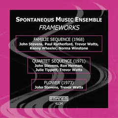 Spontaneous Music Ensemble – Frameworks (CD, Album)