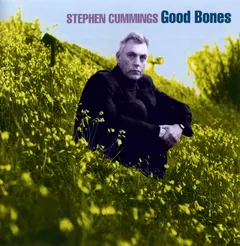 Stephen Cummings – Good Bones (CD, Album)