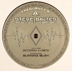 Steve Baltes – Excalibur 2001 (Vinyl, 12")