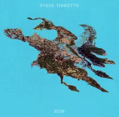 Steve Tibbetts – Big Map Idea (CD, Album)