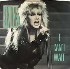 Stevie Nicks – I Can't Wait (Vinyl, 7")