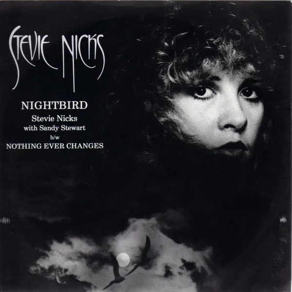 Stevie Nicks – Nightbird